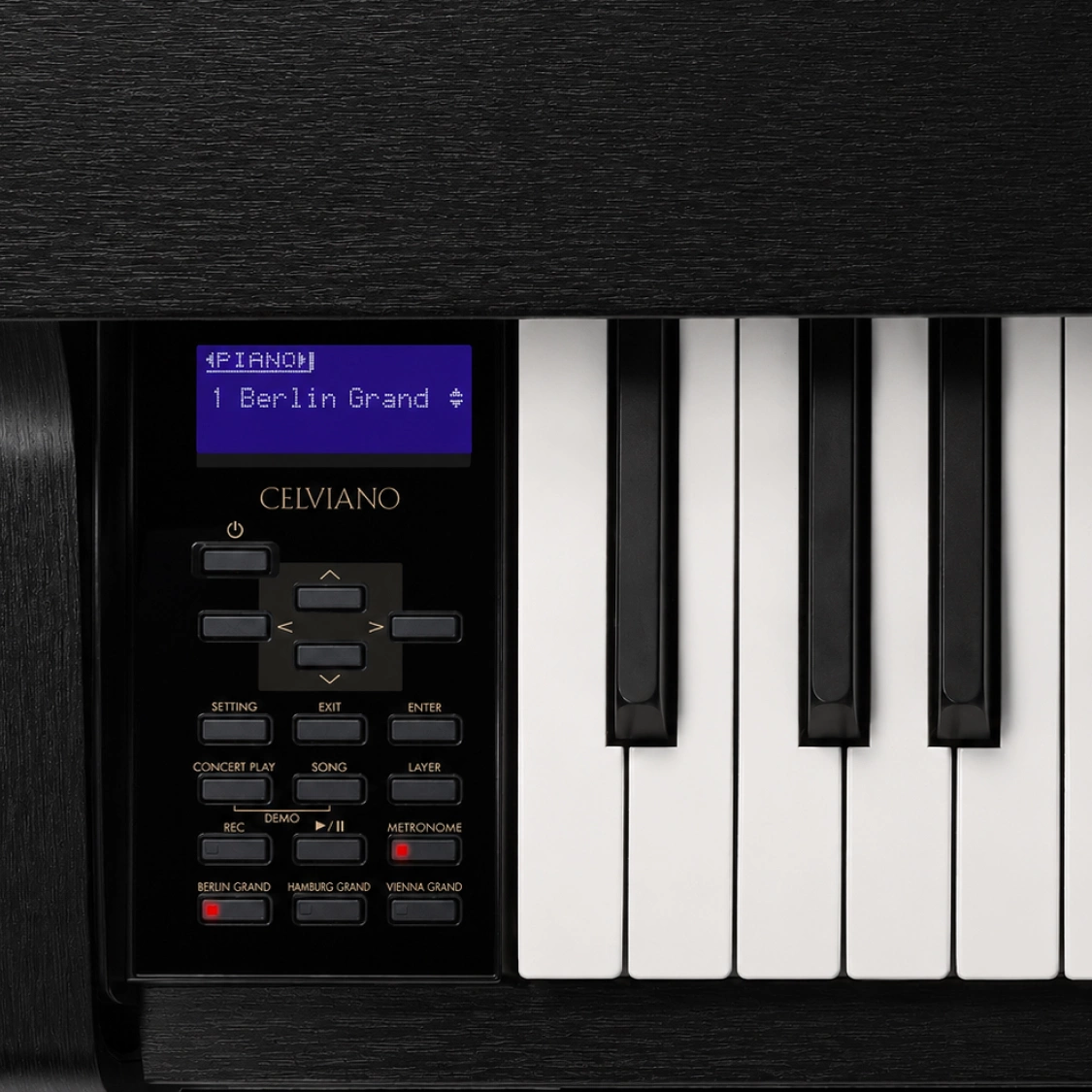 Цифровое пианино Casio Celviano GP-310 BK